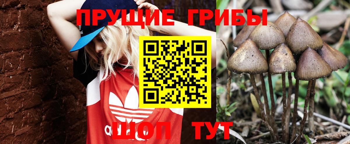 Галлюциногенные грибы GOLDEN TEACHER  Псилоцибиновые грибы Cubensis  Апрелевка  Вход с VPN 